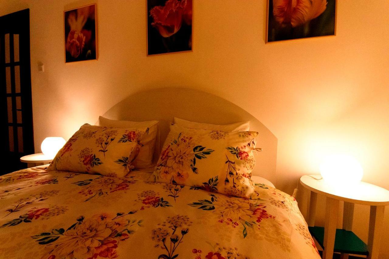 Ava'S Home Brašov Exteriér fotografie